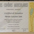 Ampliar imagem: certificate 3