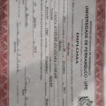 Ampliar imagem: certificate 1