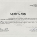 Ampliar imagem: certificate 15