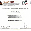 Ampliar imagem: certificate 264