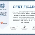 Ampliar imagem: certificate 4