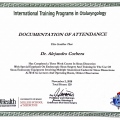 Ampliar imagem: certificate 5