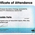 Ampliar imagem: certificate 195