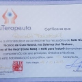 Ampliar imagem: certificate 7