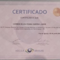 Ampliar imagem: certificate 4