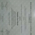 Ampliar imagem: certificate 4