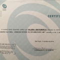 Ampliar imagem: certificate 13