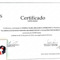 Ampliar imagem: certificate 13