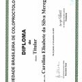 Ampliar imagem: certificate 8