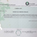 Ampliar imagem: certificate 20