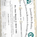 Ampliar imagem: certificate 2