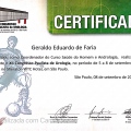 Ampliar imagem: certificate 272