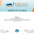 Ampliar imagem: certificate 8