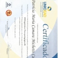 Ampliar imagem: certificate 2