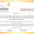 Ampliar imagem: certificate 13