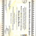 Ampliar imagem: certificate 1