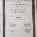 Ampliar imagem: certificate 13