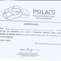 Ampliar imagem: certificate 9