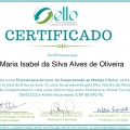 Ampliar imagem: certificate 13