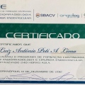 Ampliar imagem: certificate 6