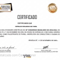 Ampliar imagem: certificate 220