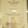 Ampliar imagem: certificate 16