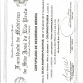 Ampliar imagem: certificate 1