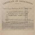 Ampliar imagem: certificate 10