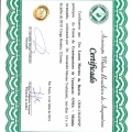 Ampliar imagem: certificate 7