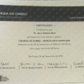 Ampliar imagem: certificate 9