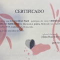 Ampliar imagem: certificate 8