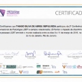 Ampliar imagem: certificate 11