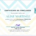 Ampliar imagem: certificate 8