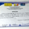 Ampliar imagem: certificate 4