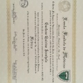 Ampliar imagem: certificate 7