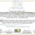 Ampliar imagem: certificate 13