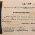 Ampliar imagem: certificate 4