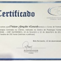 Ampliar imagem: certificate 9