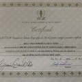 Ampliar imagem: certificate 5