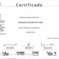 Ampliar imagem: certificate 271