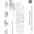 Ampliar imagem: certificate 5