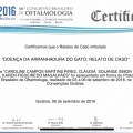 Ampliar imagem: certificate 10