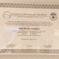 Ampliar imagem: certificate 7