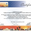 Ampliar imagem: certificate 32