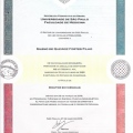 Ampliar imagem: certificate 1