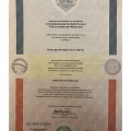 Ampliar imagem: certificate 4