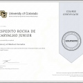Ampliar imagem: certificate 6