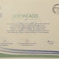 Ampliar imagem: certificate 9