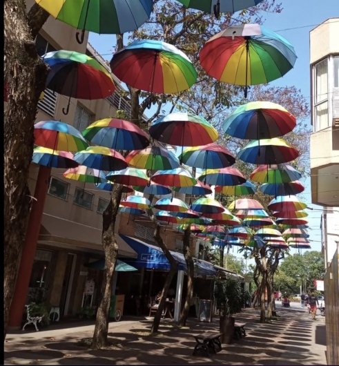 Danielle R Hassene-5