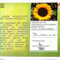 Ampliar imagem: certificate 3